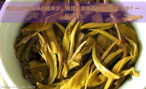 佛莲山牌普洱茶价格多少，佛莲山牌普洱茶的价格是多少？一探究竟！