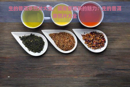 生的普洱茶照片大全，探索普洱茶的魅力：生的普洱茶照片大全