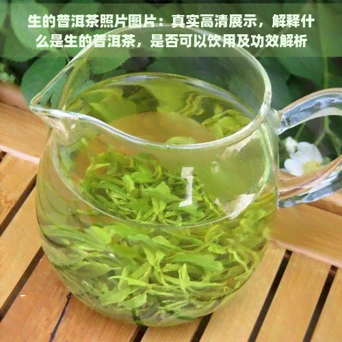 生的普洱茶照片图片：真实高清展示，解释什么是生的普洱茶，是否可以饮用及功效解析