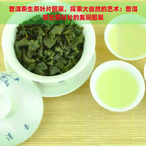 普洱茶生茶叶片图案，探索大自然的艺术：普洱茶生茶叶片的美丽图案