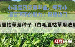 非遗普洱茶有哪些，探寻非遗普洱茶的魅力：揭秘热门！