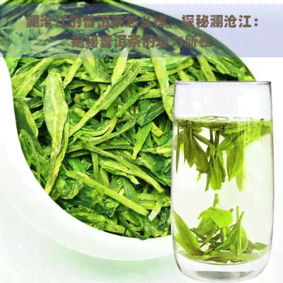 澜沧江的普洱茶怎么样，探秘澜沧江：揭秘普洱茶的魅力所在