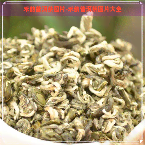 禾韵普洱茶图片-禾韵普洱茶图片大全