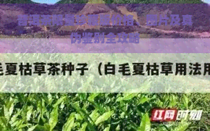 普洱茶限量珍藏版价格、图片及真伪鉴别全攻略