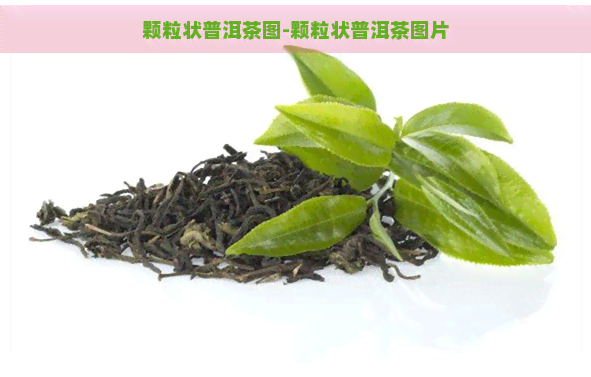 颗粒状普洱茶图-颗粒状普洱茶图片