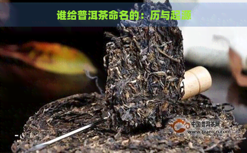 谁给普洱茶命名的：历与起源