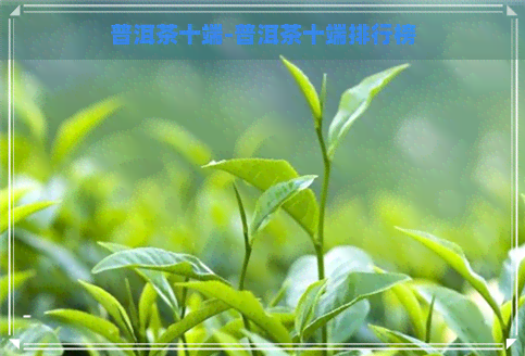 普洱茶十端-普洱茶十端排行榜