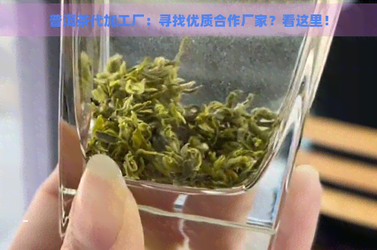 普洱茶代加工厂：寻找优质合作厂家？看这里！