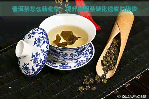 普洱茶怎么转化快，提升普洱茶转化速度的秘诀