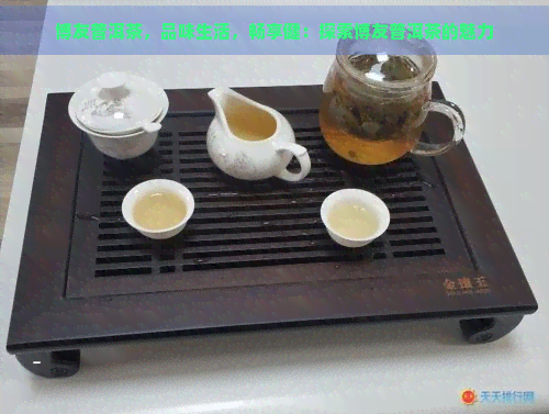 博友普洱茶，品味生活，畅享健：探索博友普洱茶的魅力