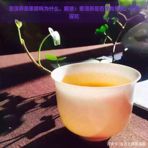 普洱茶是果胶吗为什么，解惑：普洱茶是否含有果胶？原因探究