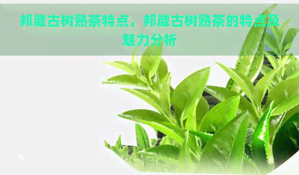 邦崴古树熟茶特点，邦崴古树熟茶的特点及魅力分析