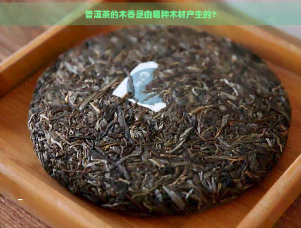 普洱茶的木香是由哪种木材产生的？