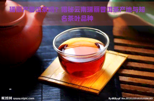 瑞丽产普洱茶吗？揭秘云南瑞丽普洱茶产地与知名茶叶品种