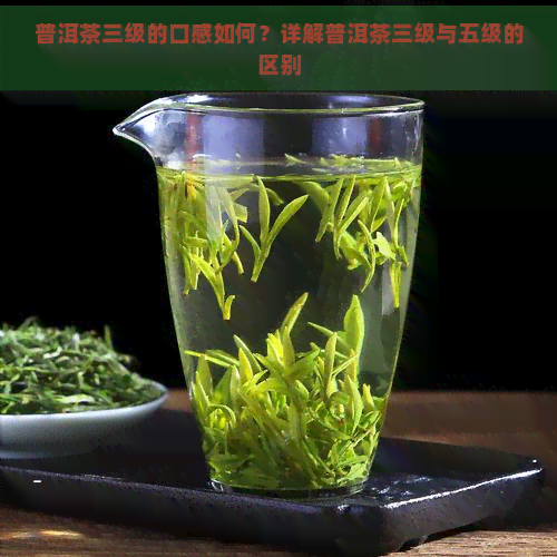 普洱茶三级的口感如何？详解普洱茶三级与五级的区别