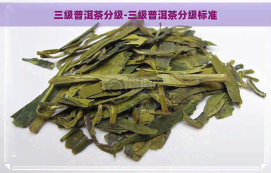 三级普洱茶分级-三级普洱茶分级标准