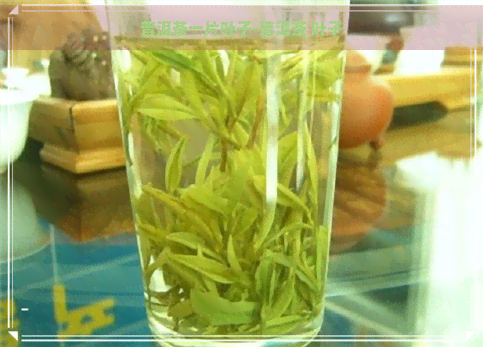 普洱茶一片叶子-普洱茶 叶子