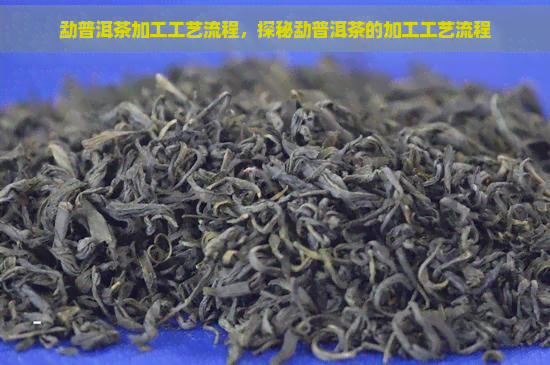 勐普洱茶加工工艺流程，探秘勐普洱茶的加工工艺流程