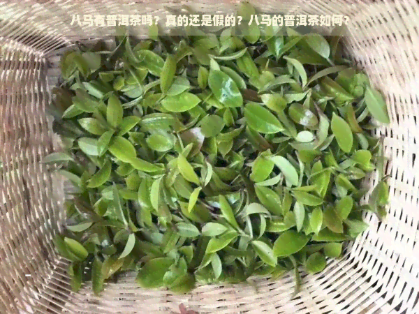 八马有普洱茶吗？真的还是假的？八马的普洱茶如何？