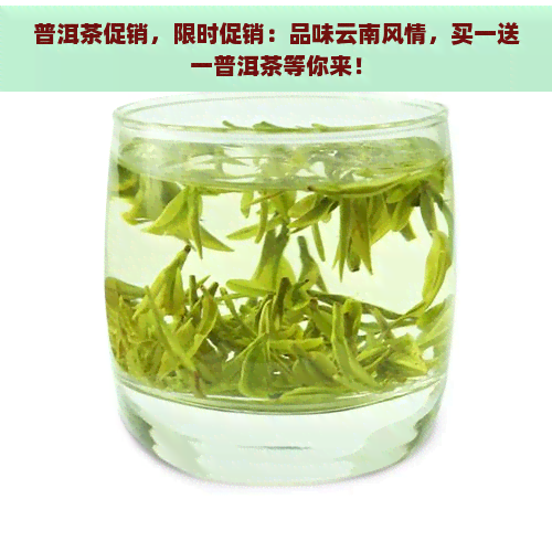 普洱茶促销，限时促销：品味云南风情，买一送一普洱茶等你来！