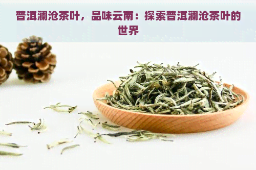 普洱澜沧茶叶，品味云南：探索普洱澜沧茶叶的世界