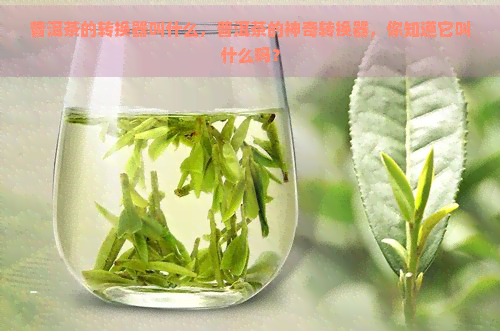 普洱茶的转换器叫什么，普洱茶的神奇转换器，你知道它叫什么吗？