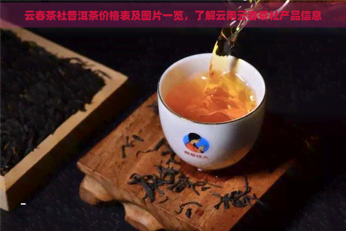 云春茶社普洱茶价格表及图片一览，了解云南云春茶社产品信息