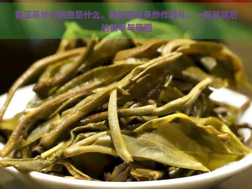 普洱茶炒作始由是什么，揭秘普洱茶炒作源头：一探其背后的故事与原因