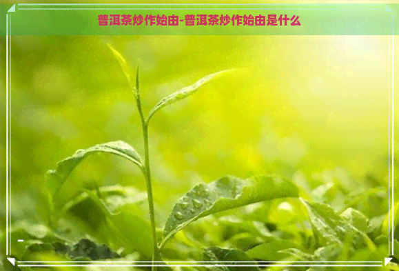 普洱茶炒作始由-普洱茶炒作始由是什么