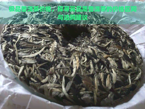 极品普洱茶价格，探寻高品质普洱茶的价格区间与选购建议