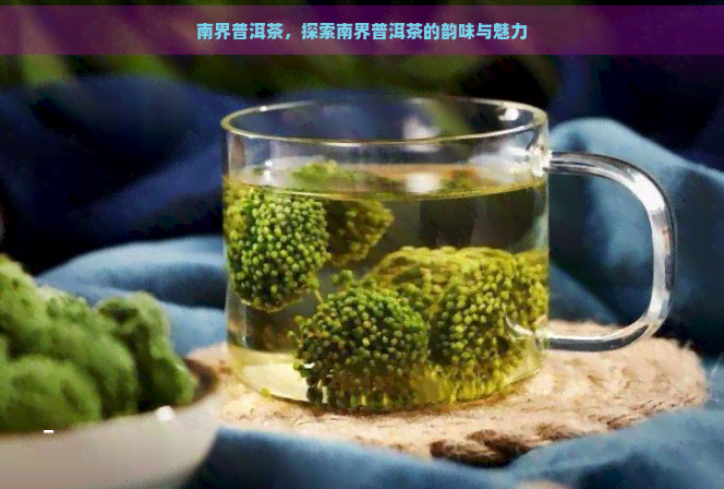 南界普洱茶，探索南界普洱茶的韵味与魅力