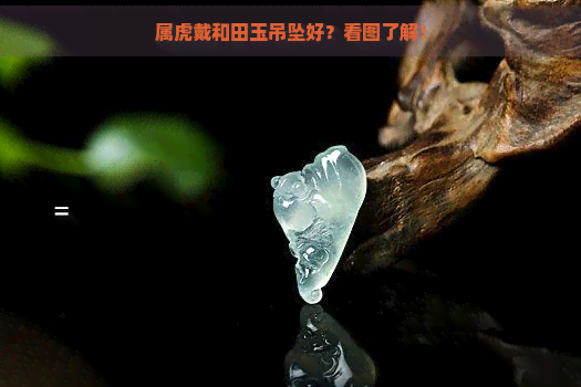 属虎戴和田玉吊坠好？看图了解！