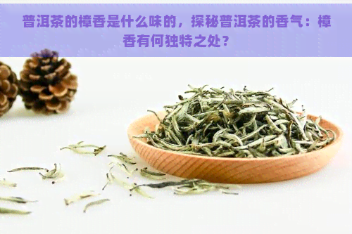 普洱茶的樟香是什么味的，探秘普洱茶的香气：樟香有何独特之处？