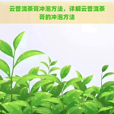 云普洱茶膏冲泡方法，详解云普洱茶膏的冲泡方法