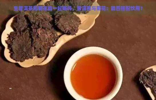 生普洱茶和菊花能一起喝吗，普洱茶与菊花：能否搭配饮用？