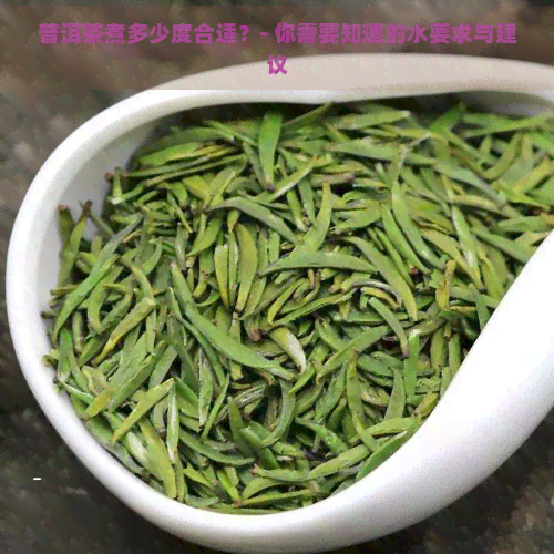 普洱茶煮多少度合适？- 你需要知道的水要求与建议