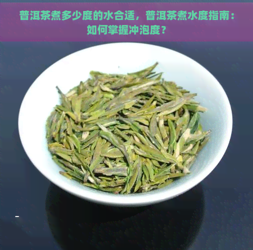 普洱茶煮多少度的水合适，普洱茶煮水度指南：如何掌握冲泡度？