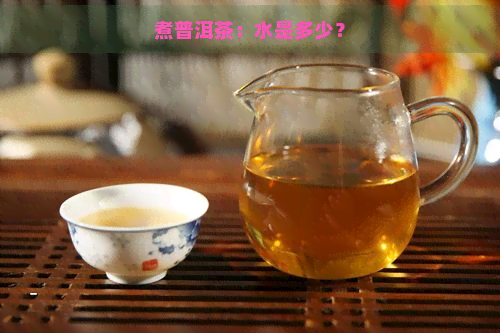 煮普洱茶：水是多少？