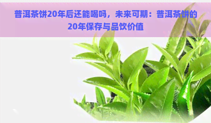 普洱茶饼20年后还能喝吗，未来可期：普洱茶饼的20年保存与品饮价值