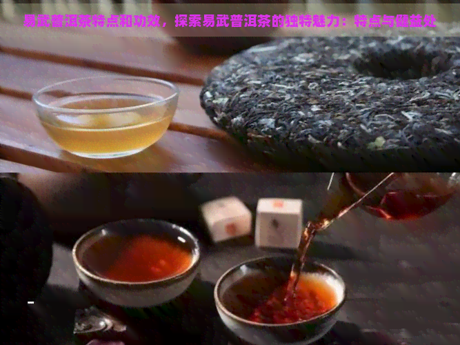 易武普洱茶特点和功效，探索易武普洱茶的独特魅力：特点与健益处