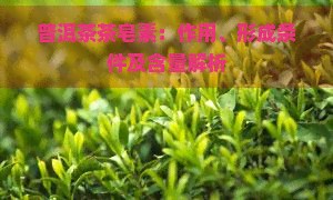 普洱茶茶皂素：作用、形成条件及含量解析