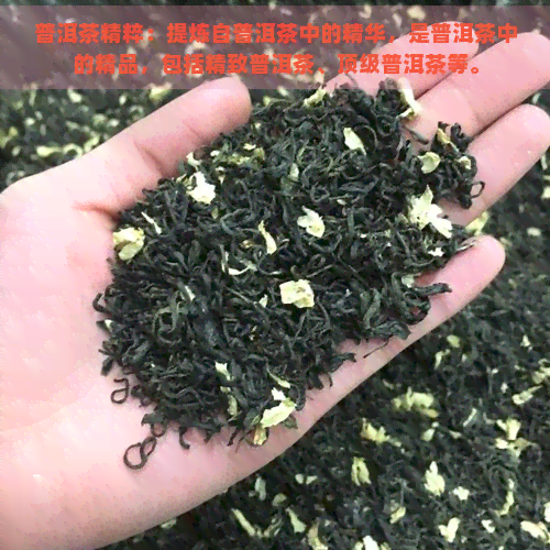 普洱茶精粹：提炼自普洱茶中的精华，是普洱茶中的精品，包括精致普洱茶、顶级普洱茶等。