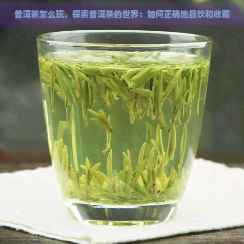 普洱茶怎么玩，探索普洱茶的世界：如何正确地品饮和收藏