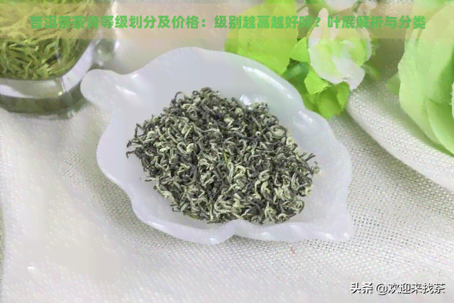 普洱茶茶青等级划分及价格：级别越高越好吗？叶底解析与分类