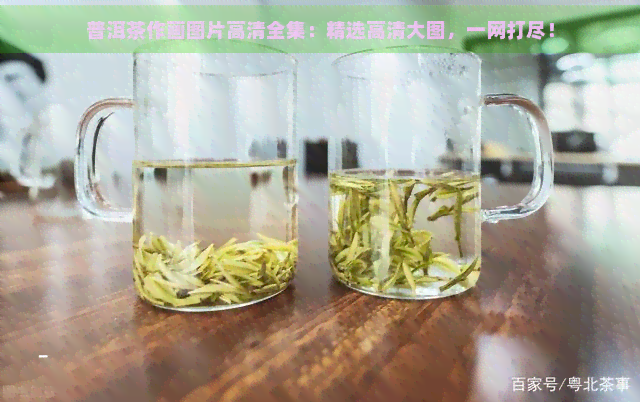 普洱茶作画图片高清全集：精选高清大图，一网打尽！