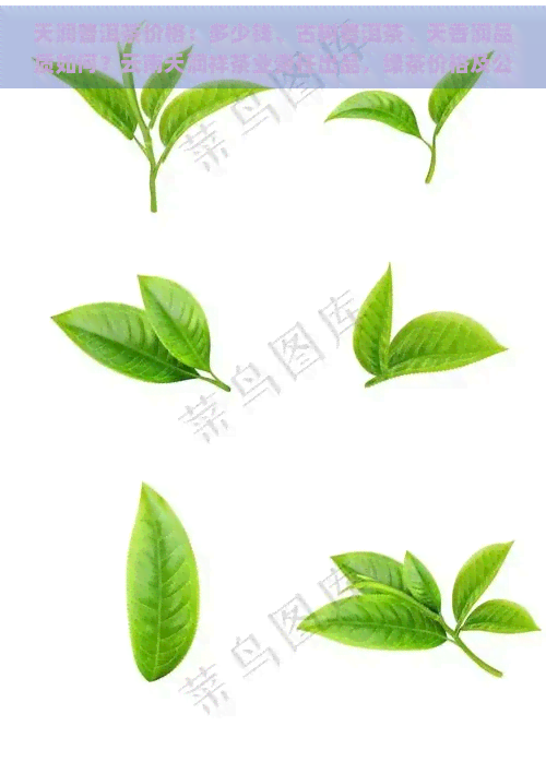 天润普洱茶价格：多少钱、古树普洱茶、天香润品质如何？云南天润祥茶业责任出品，绿茶价格及公司简介全知道