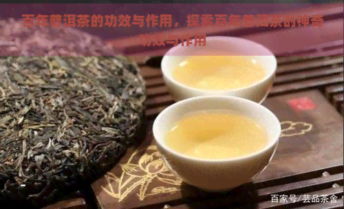 百年普洱茶的功效与作用，探索百年普洱茶的神奇功效与作用