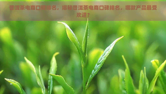 普洱茶电商口碑排名，揭秘普洱茶电商口碑排名，哪款产品更受欢迎？