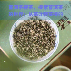 普洱茶梗茶，探索普洱茶的世界：从茶叶到茶梗的全过程解析