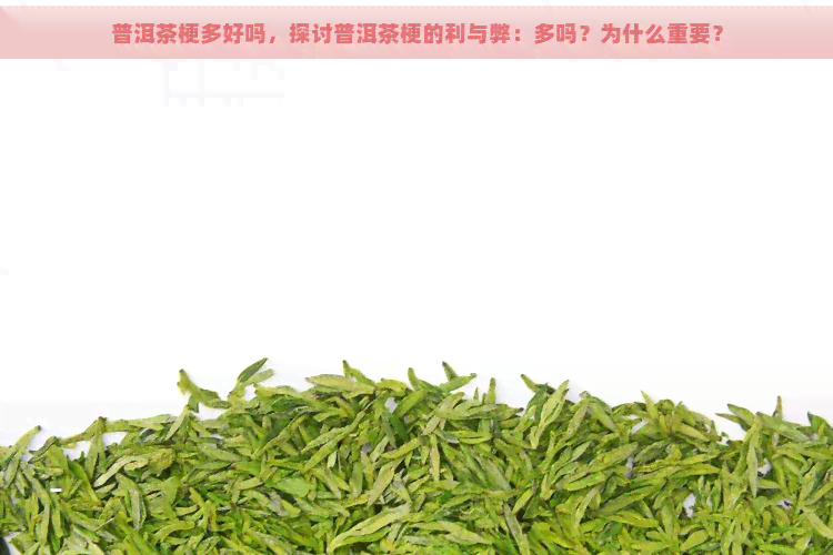 普洱茶梗多好吗，探讨普洱茶梗的利与弊：多吗？为什么重要？